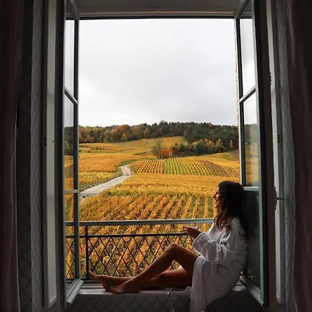 Chateau De 5* Sacy