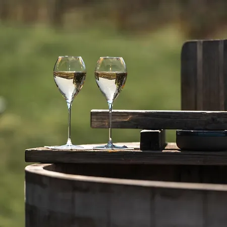 فندق Chateau De 5*