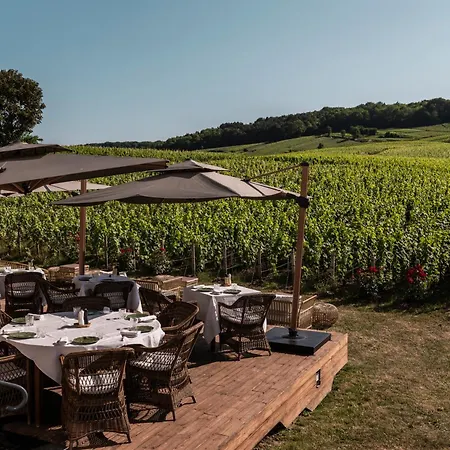 فندق Chateau De Sacy