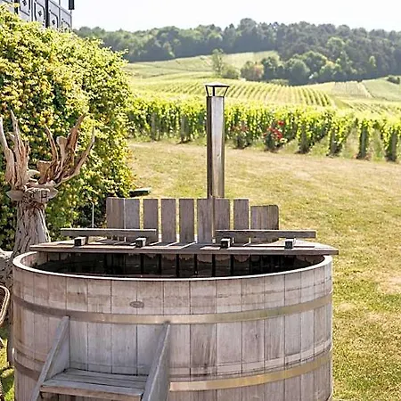 Chateau De Otel 5*