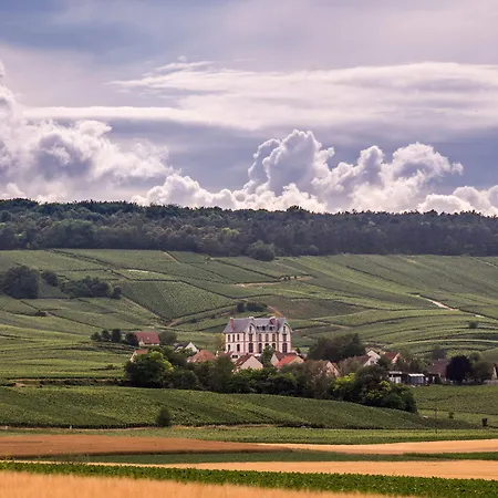 Otel Chateau De Sacy