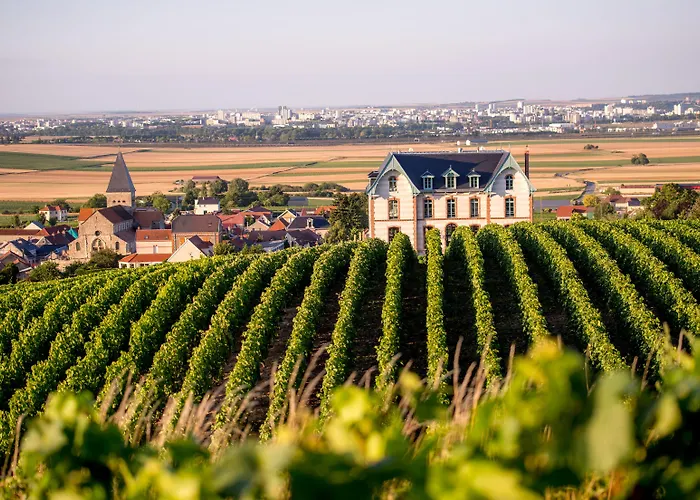 Hotel Chateau De Sacy